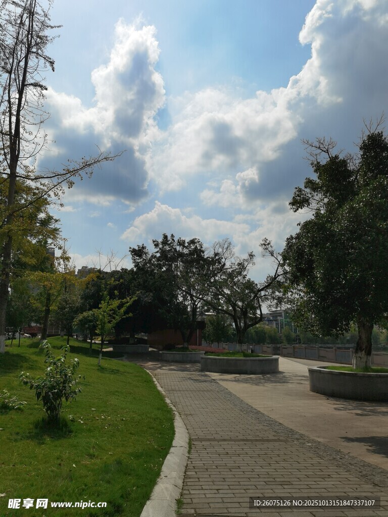 公园中的宁静步道景观