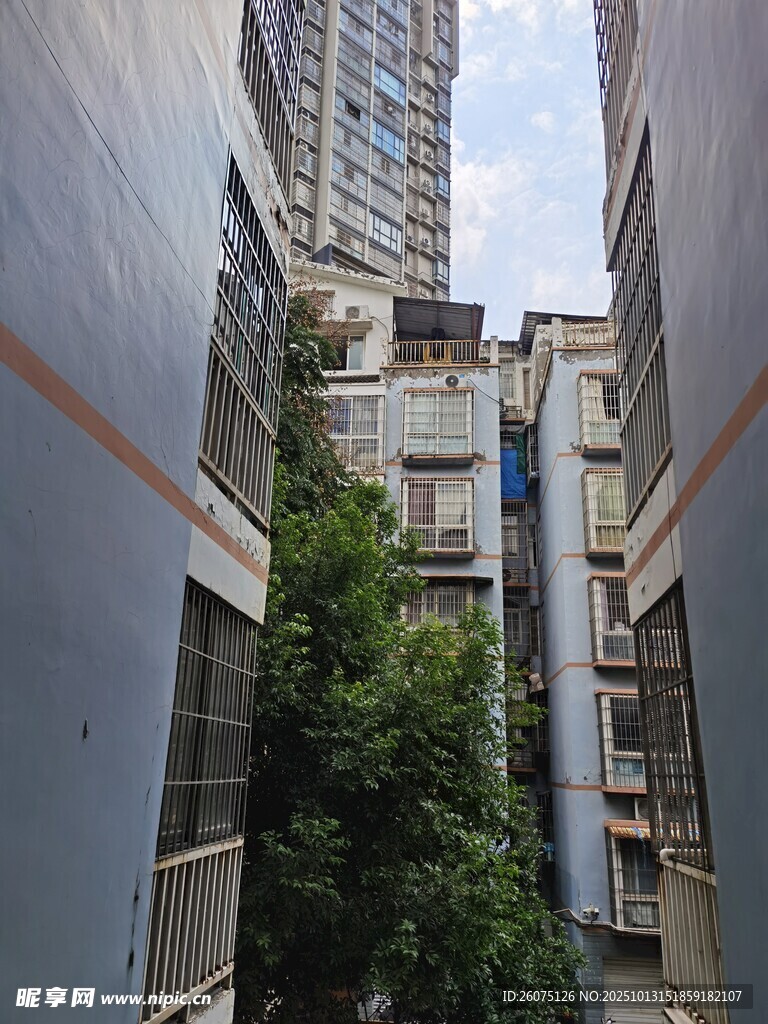 老旧居民楼间的绿植景观