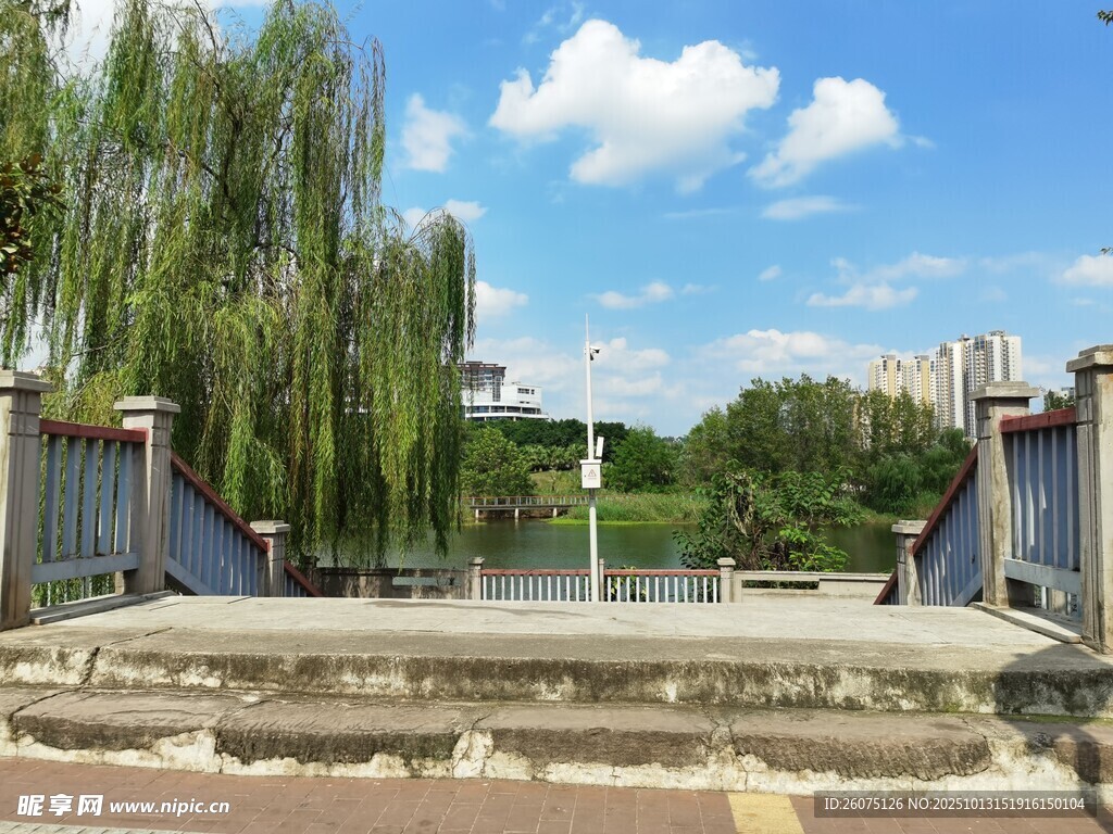 湖畔垂柳风景宜人