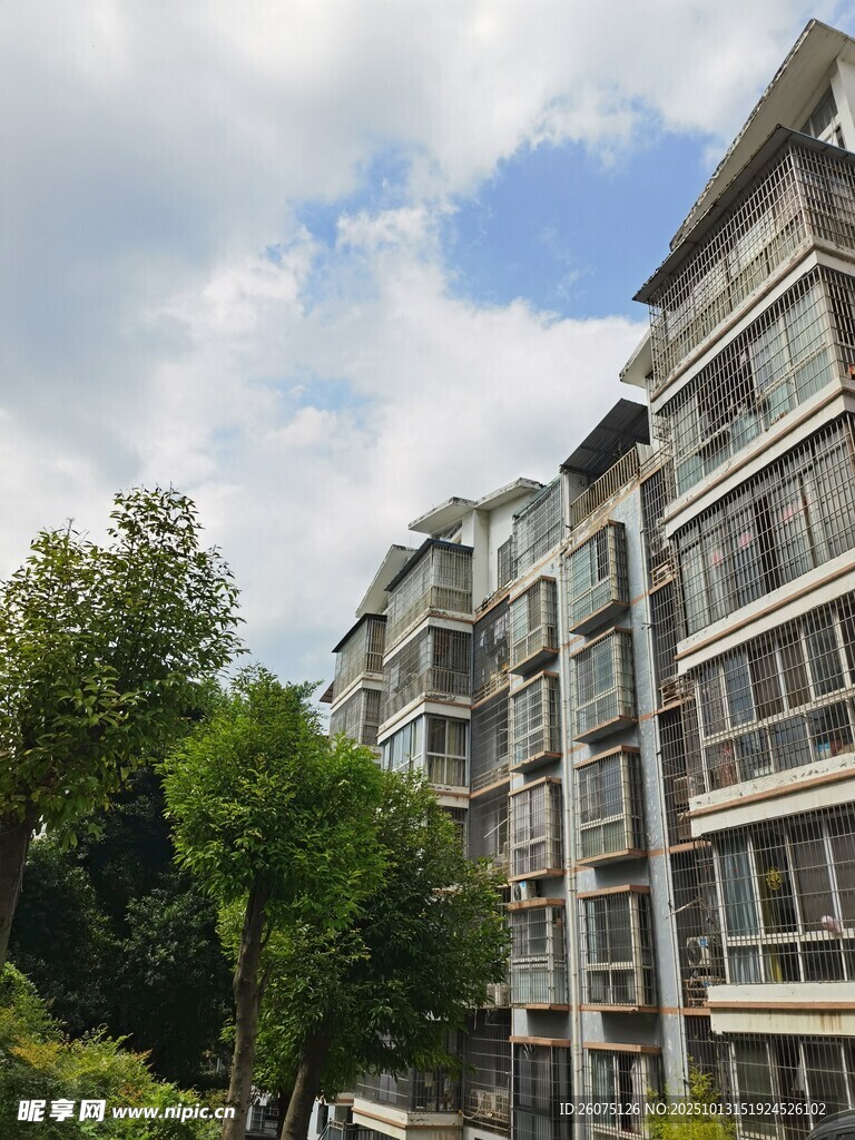 多层居民楼与绿植景观