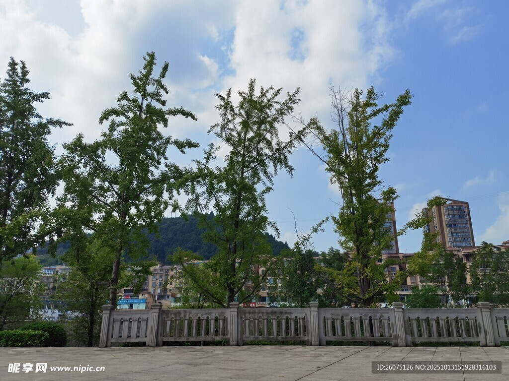 绿树围栏旁的城市风景