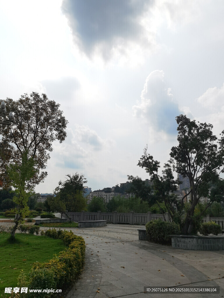 宁静园区道路与绿植景观