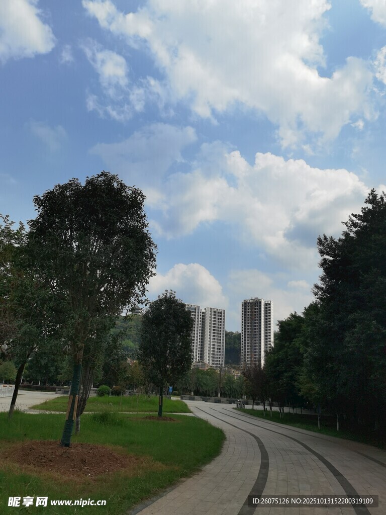 城市中的林荫小路景观