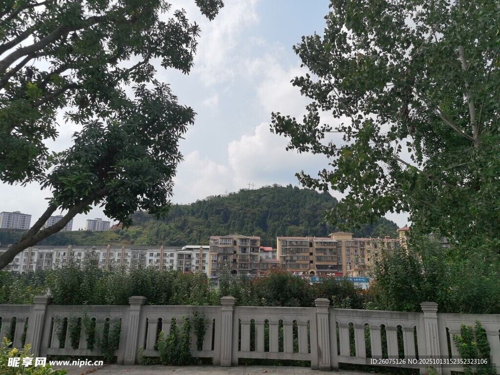 园林景致中的建筑与绿树