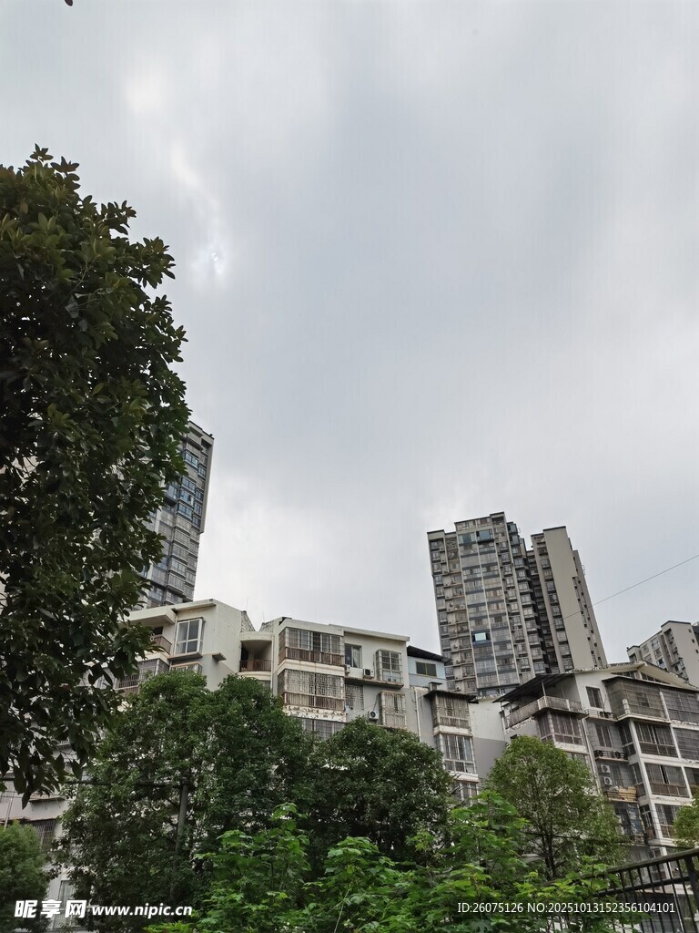 城市中林立的高楼与绿树