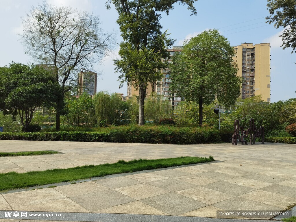 城市中的开阔绿地景观
