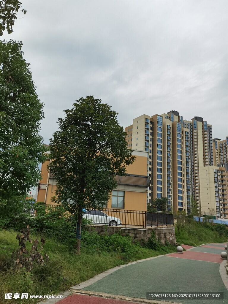 城市住宅区旁的绿化道路