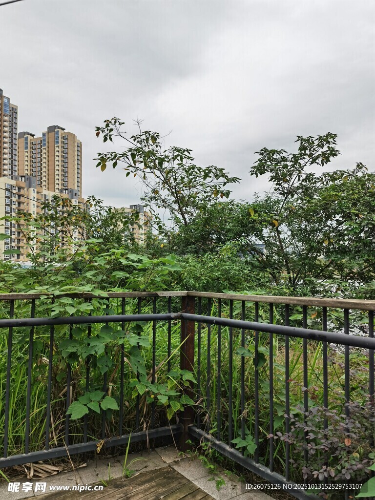 阳台外的城市绿植景观