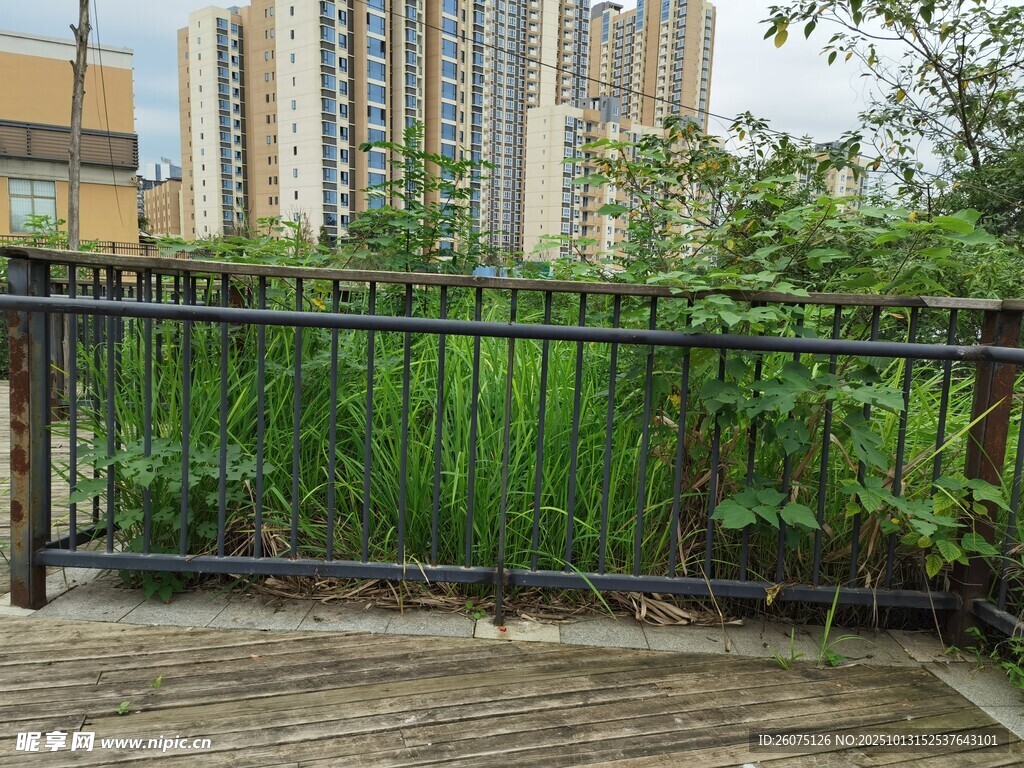 城市露台绿植景观