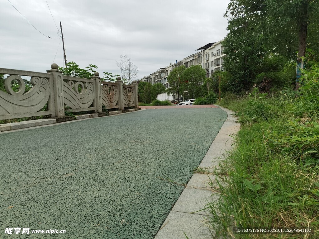 乡村碎石路旁的自然景致