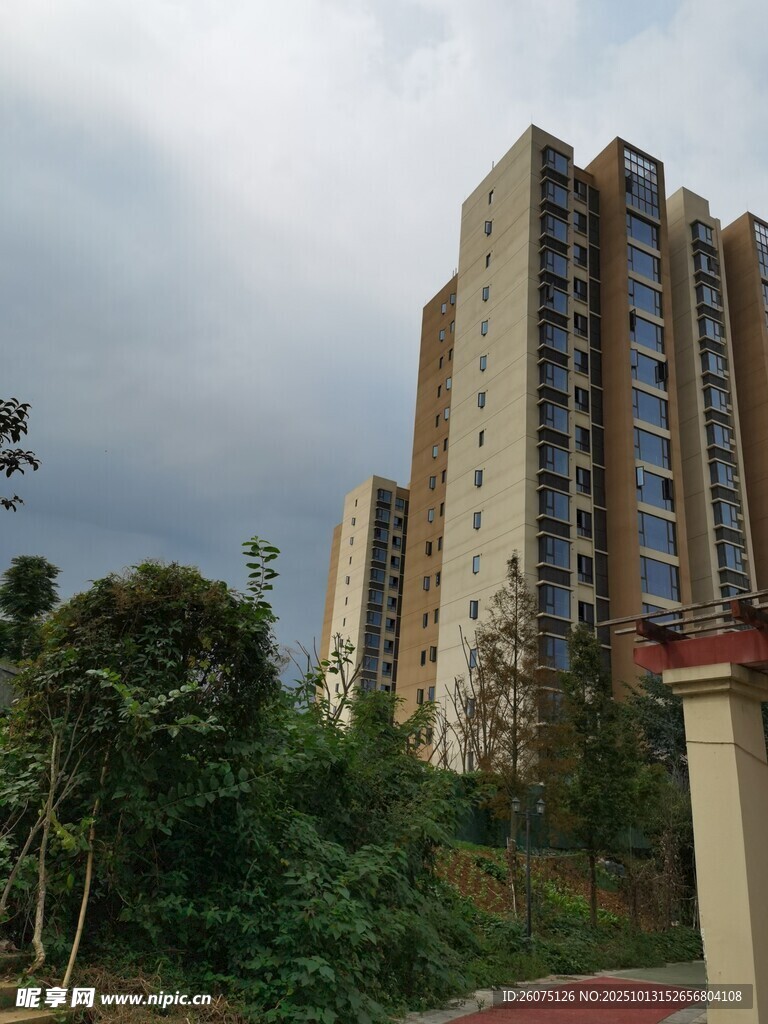 高层住宅与周边绿植景观