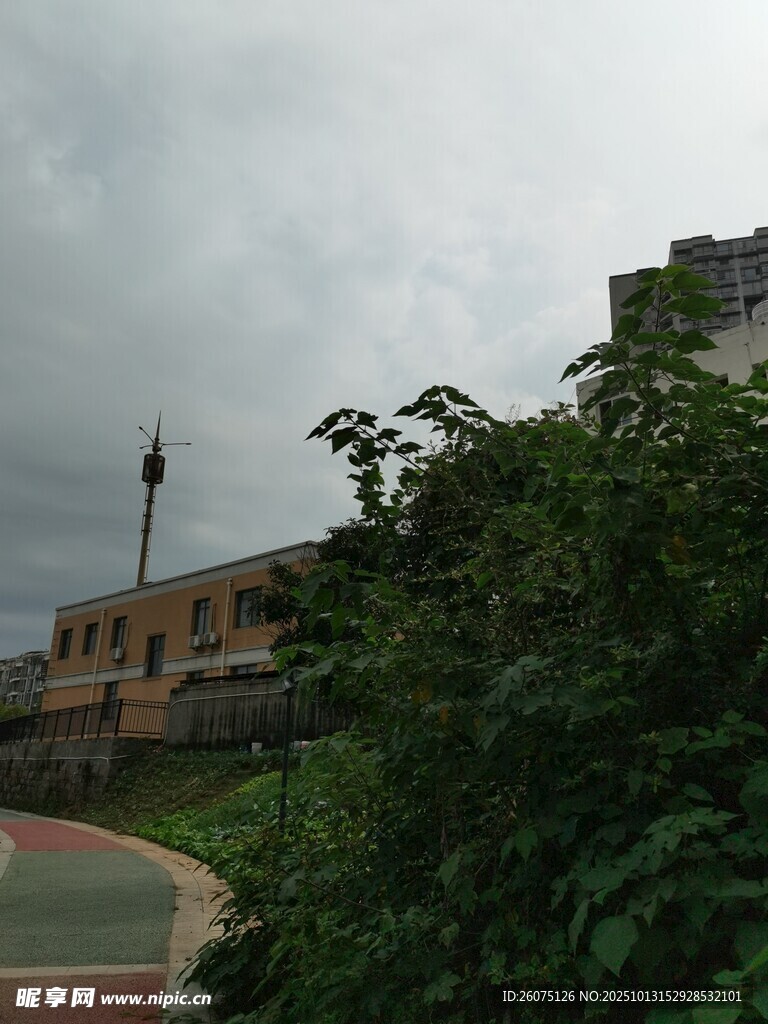 校园一角景观