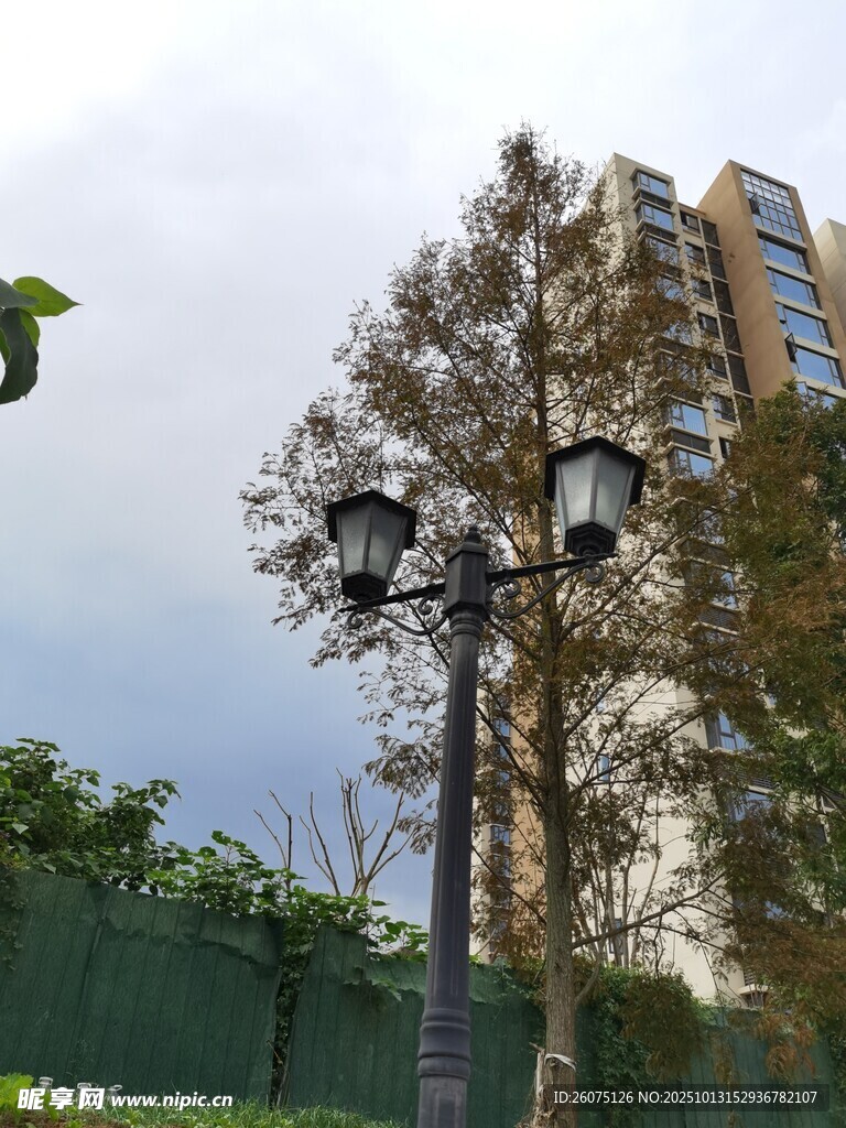 户外路灯旁的树木与建筑