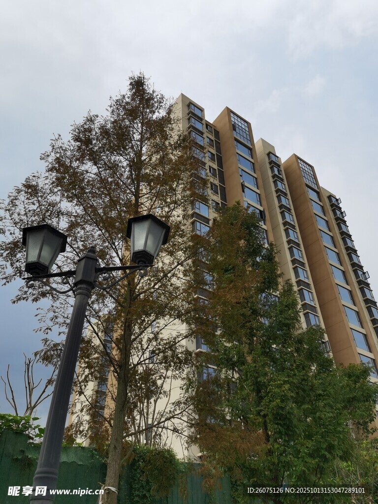 小区旁的路灯与高楼景色