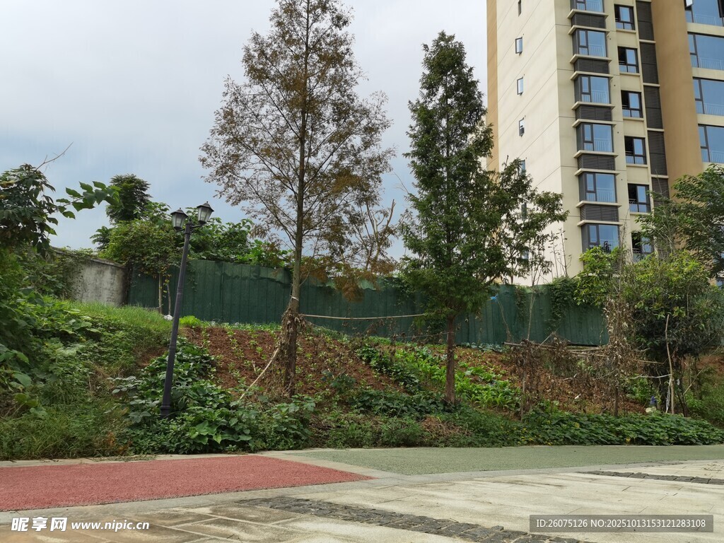 小区旁的绿植与高楼景观