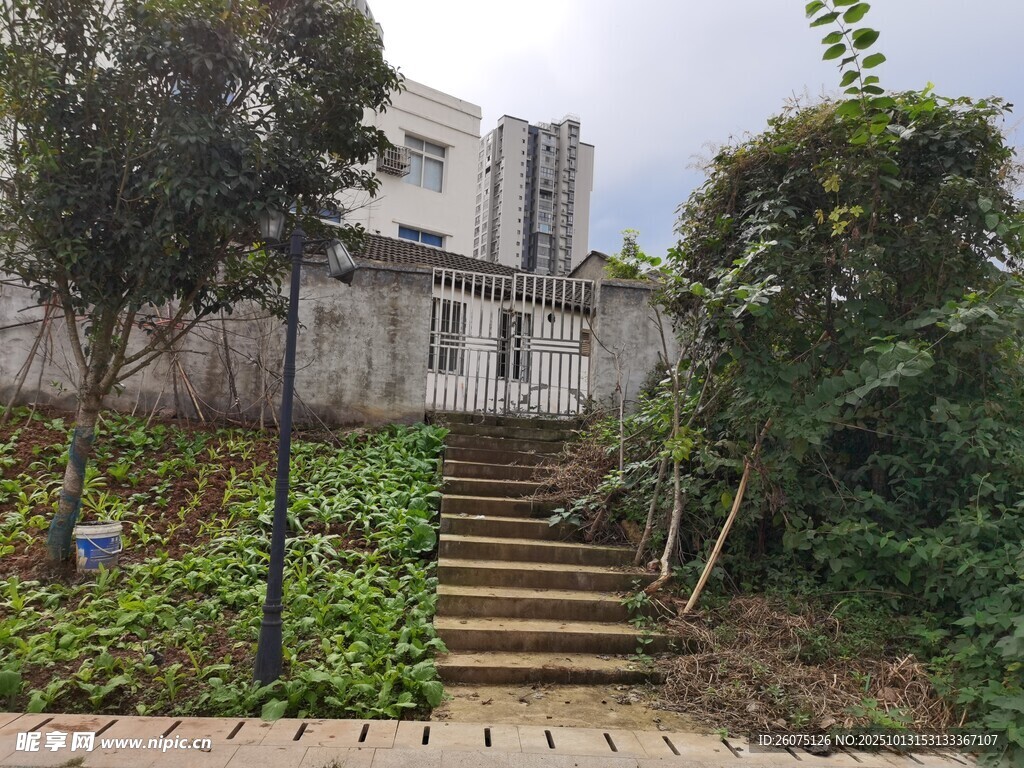 通往白色建筑的绿植小径