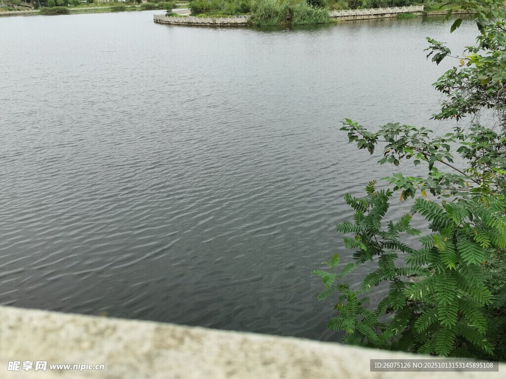 宁静湖边景致