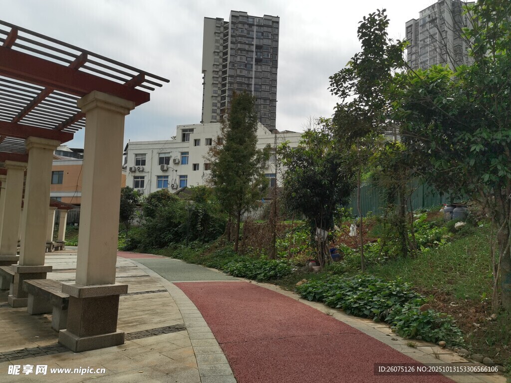 城市中的休闲步道景观