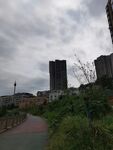 城市中绿植环绕的小路