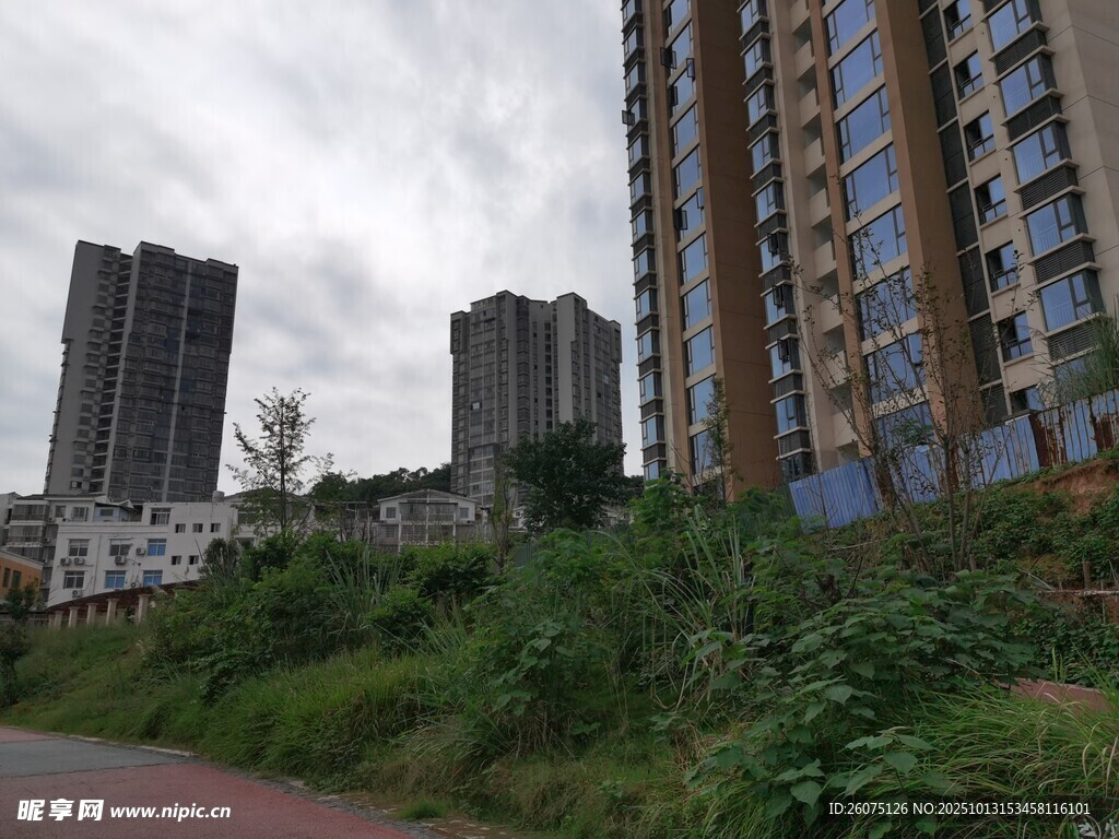 城市边缘的高楼与绿植