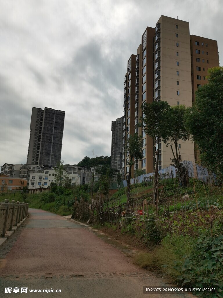 城郊小路旁的高楼景观
