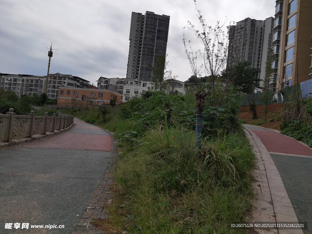 城市中荒芜的小路景观