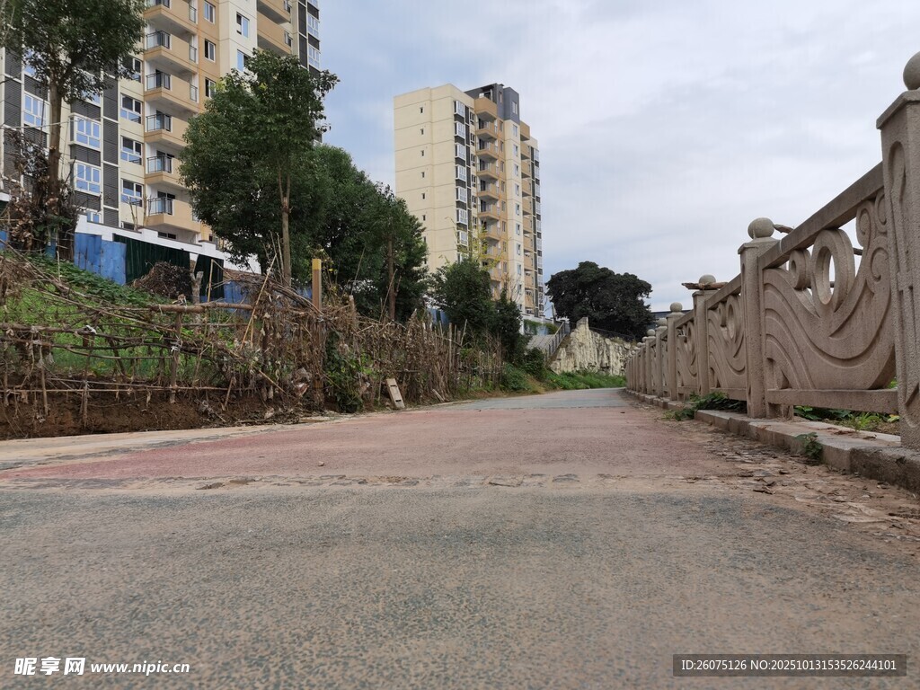 城市中宁静的道路景观