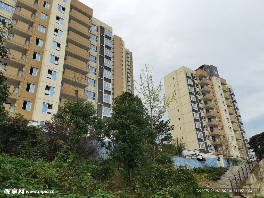 城市中的高层居民楼景观
