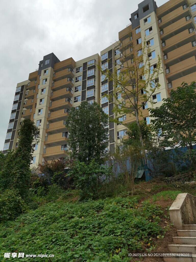 高层住宅旁的绿植与步道