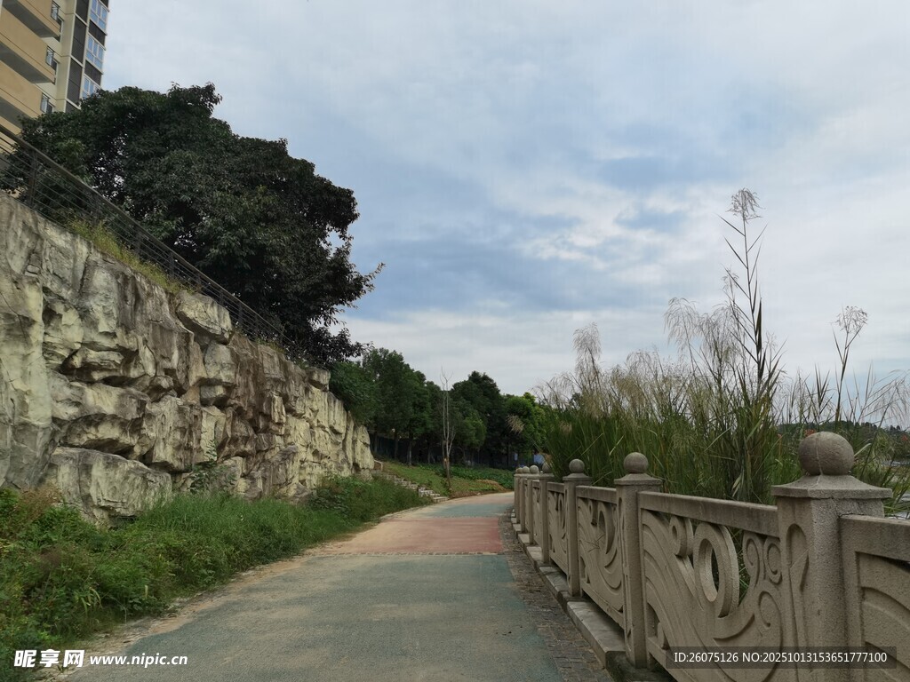 城郊小路旁的自然景致