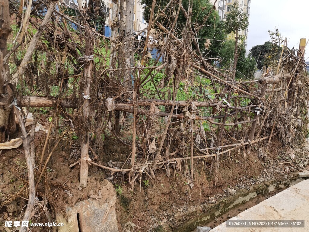 乡村简易竹制篱笆景观