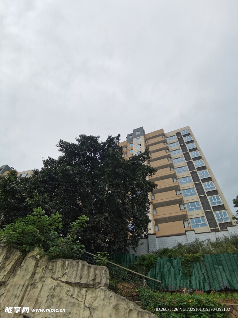 高楼旁的绿植景观