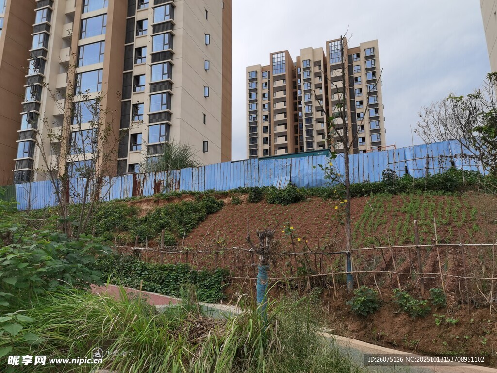 城市住宅区旁的绿植景观