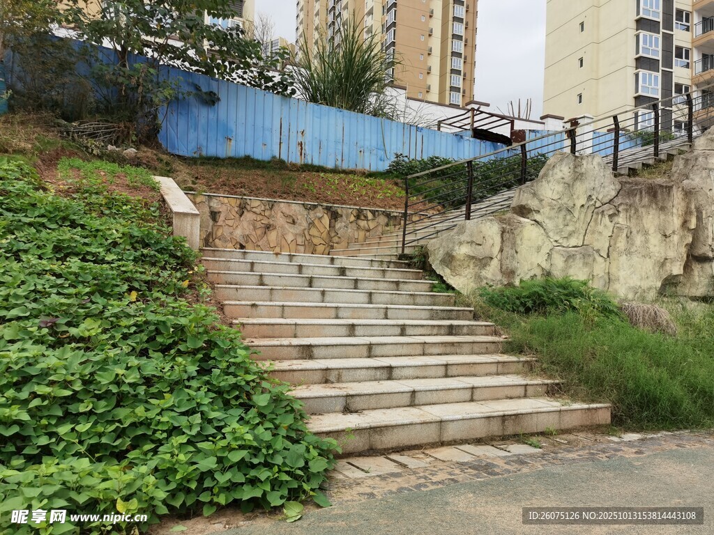 城市中带绿植的石阶小路