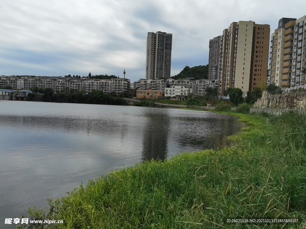 河畔高楼与葱郁绿植景观
