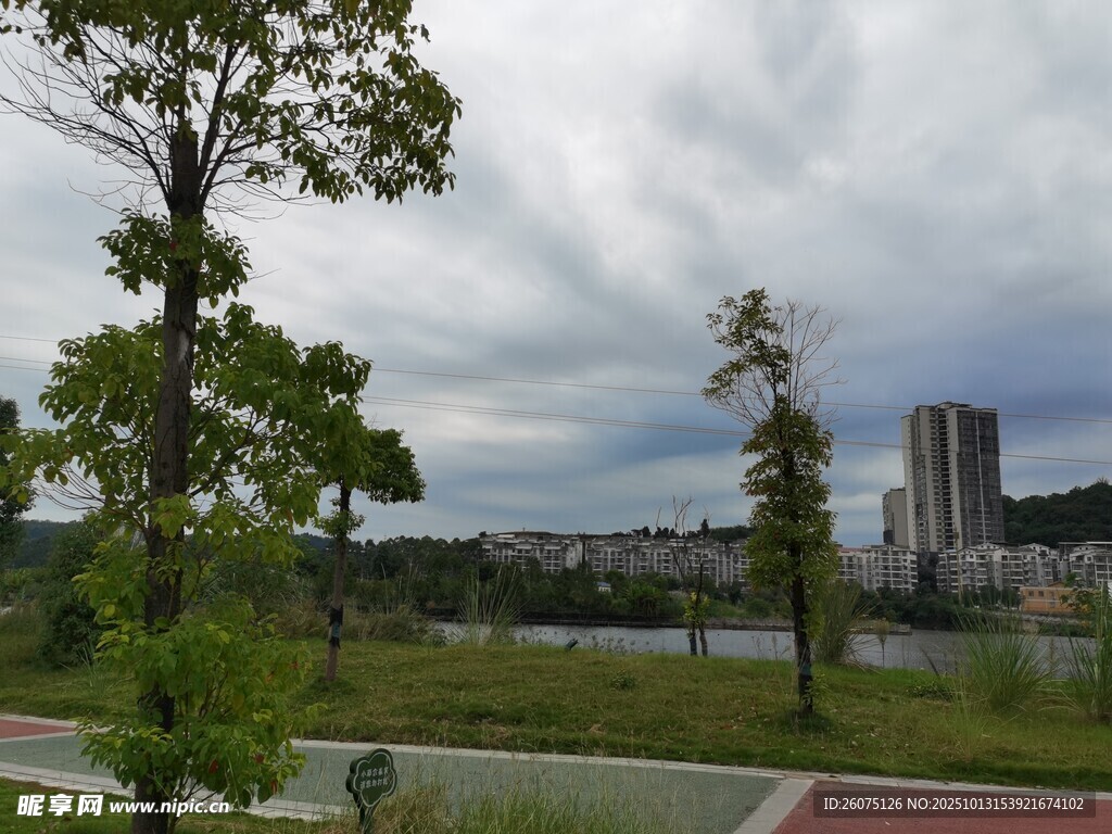 城市河畔绿树景观
