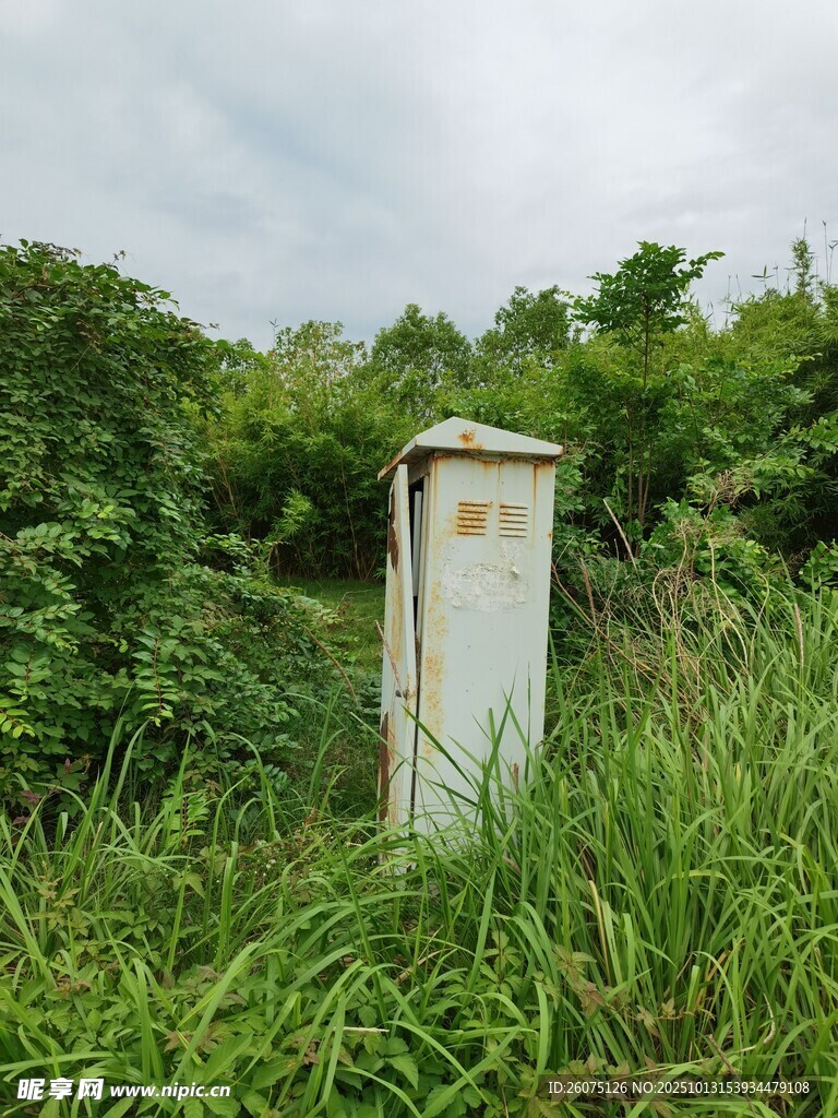 草丛中的白色箱体