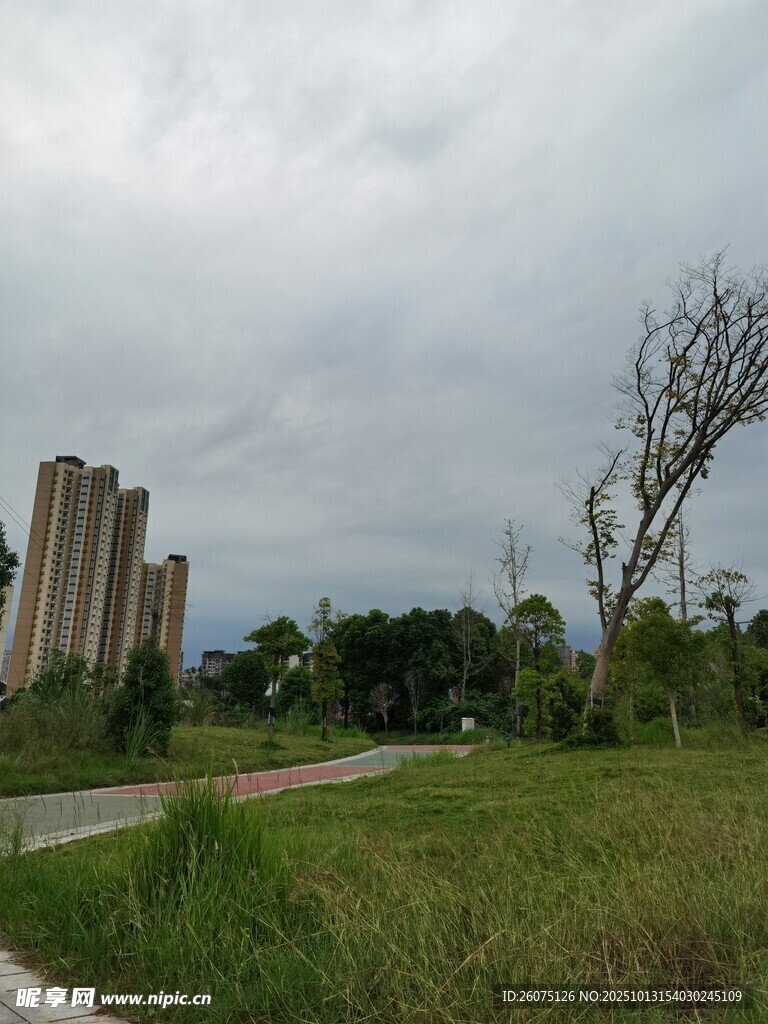 城郊草地旁的高楼景观