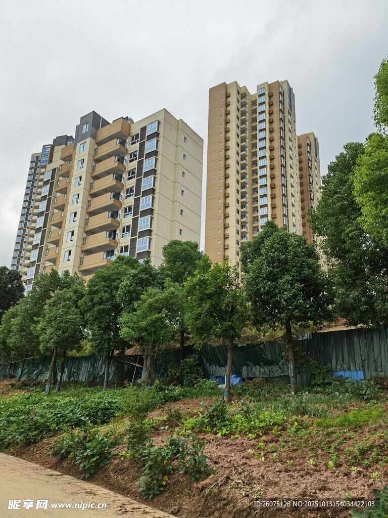 城市住宅区的高楼与绿植