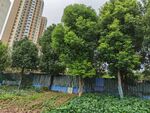 城市中绿树环绕的绿地角落