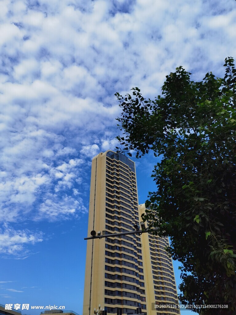 蓝天白云下的高楼与绿树