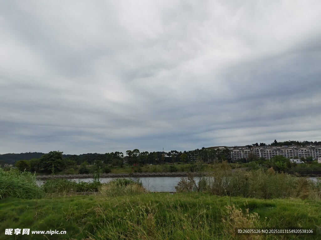 湖畔草地风景