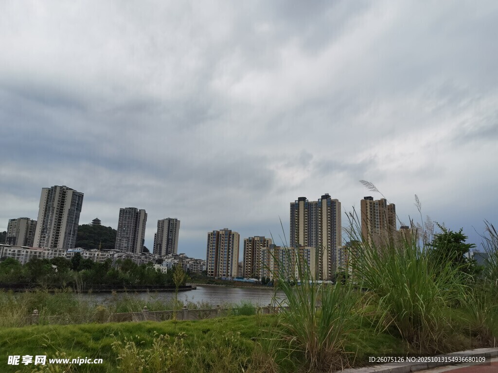 城市天际线与河畔绿植景观