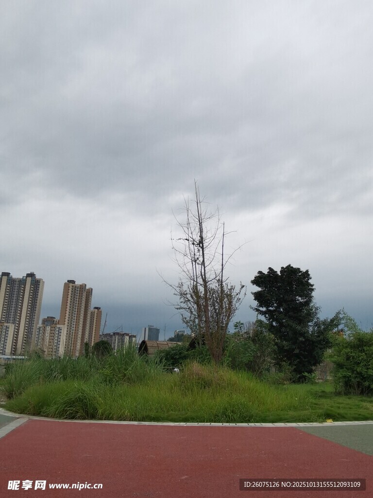 阴天的户外场地与稀疏树木