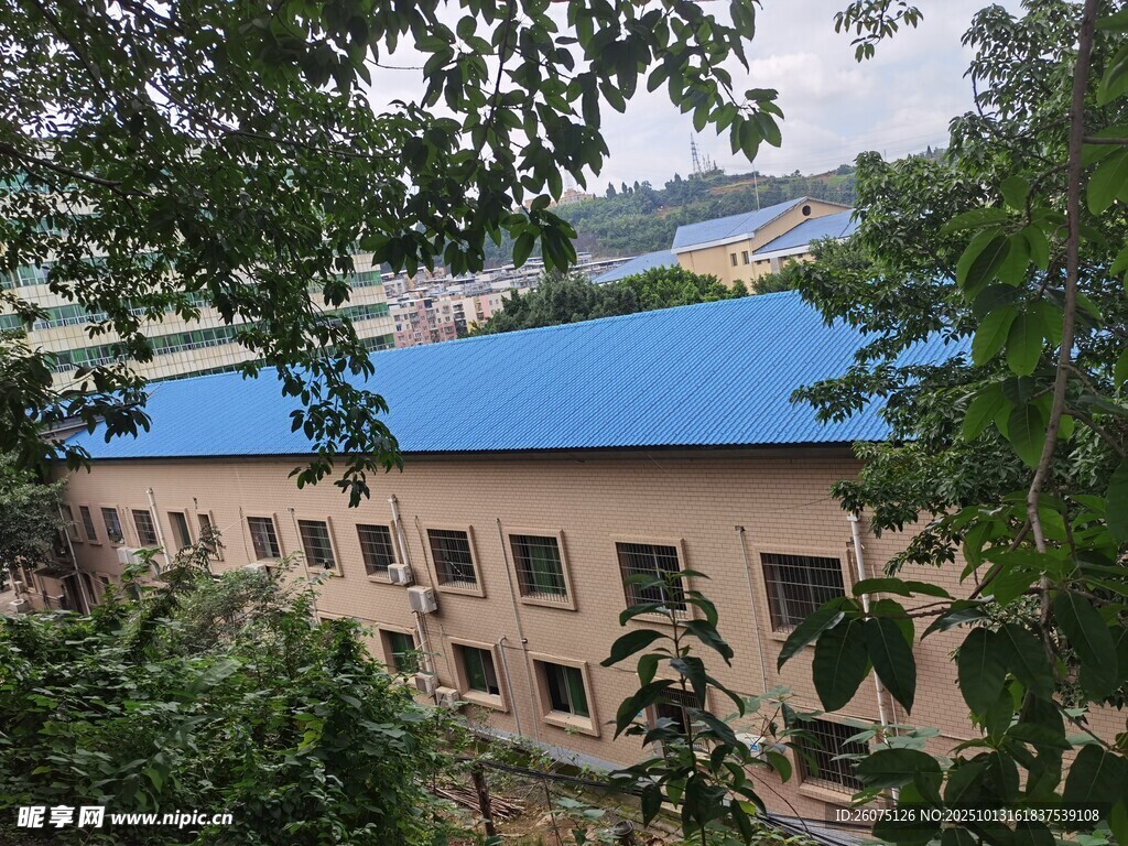 蓝顶厂房隐于绿树间