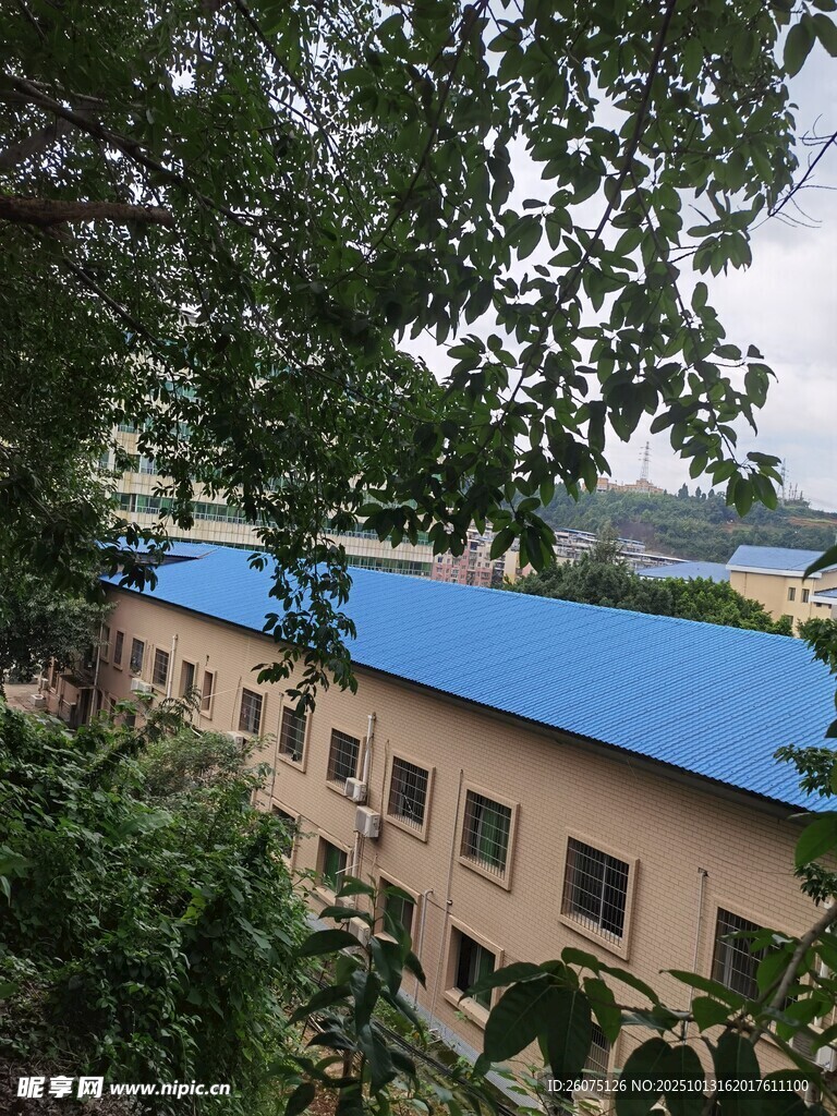 蓝顶建筑隐于绿树间