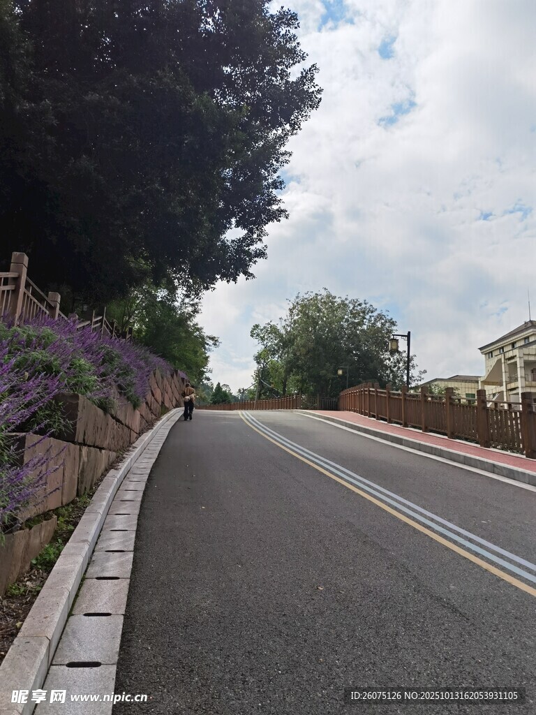 宁静乡村公路风景