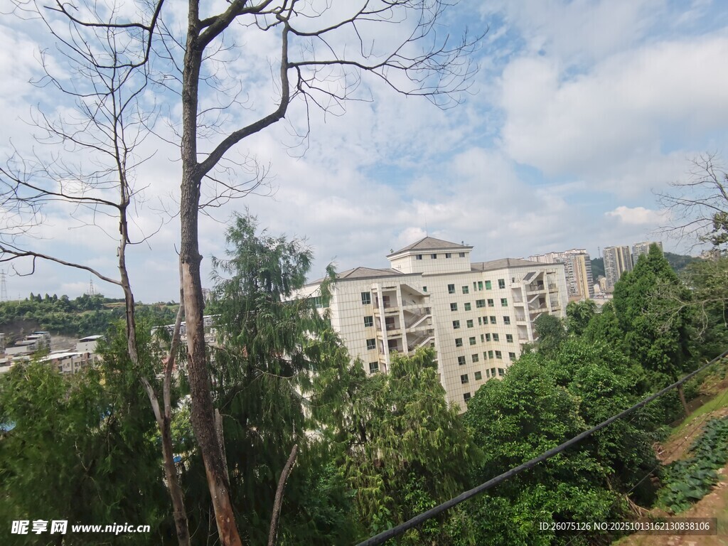 林间远望的白色建筑群