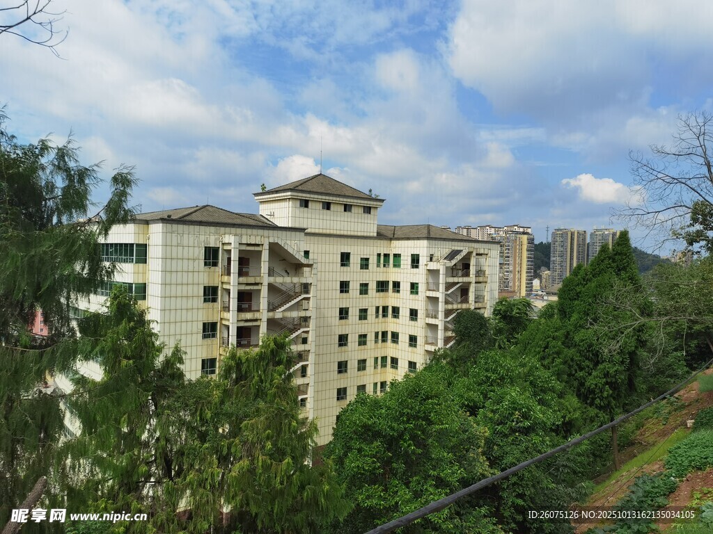 绿树环绕的多层建筑