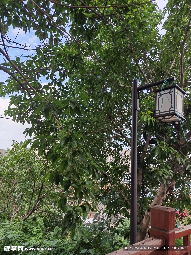 林间中式路灯绿意环绕